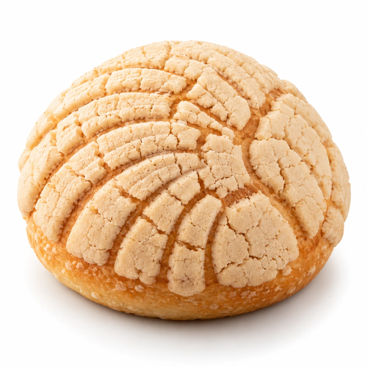 Concha Clásica de Vainilla — La joya de la panadería mexicana. Pan dulce tradicional, tierno y esponjoso con crujiente costra de azúcar de vainilla.