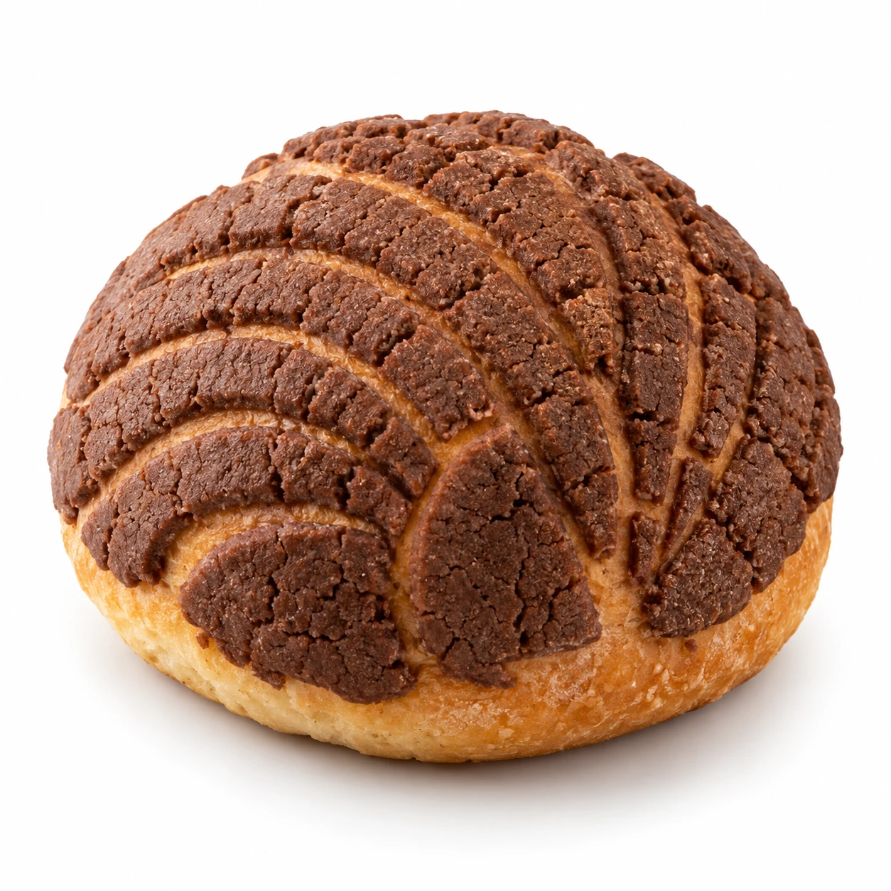 Concha de Chocolate Gourmet — El balance perfecto de cacao. Masa brioche mexicana con cobertura intensa de azúcar y chocolate.